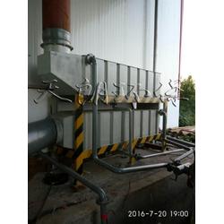 上海天朗环保科技 光氧催化技术高效处理病死动物废气